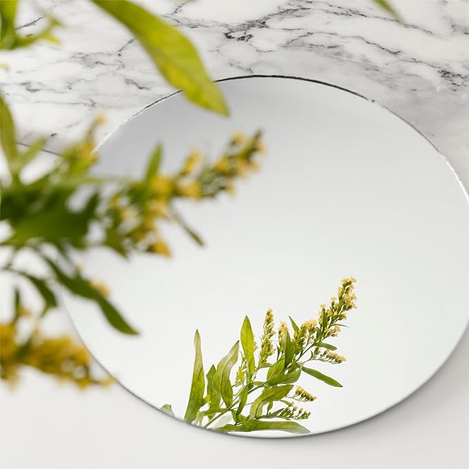 Acrylic Round Mirrors Trays Plates for Table Centerpieces 10PCS Mirrors Candle Plate Circle 1.6mm Acrylic Mirror Tiles for DIY Craft,Wall Decor,Wedding Party Decorations(Acrylic Material(10inch/25cm)