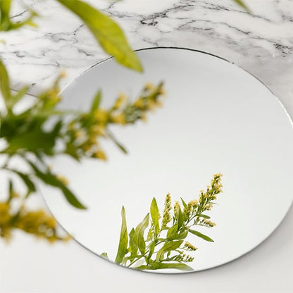 Acrylic Round Mirrors Trays Plates for Table Centerpieces 10PCS Mirrors Candle Plate Circle 1.6mm Acrylic Mirror Tiles for DIY Craft,Wall Decor,Wedding Party Decorations(Acrylic Material(10inch/25cm)