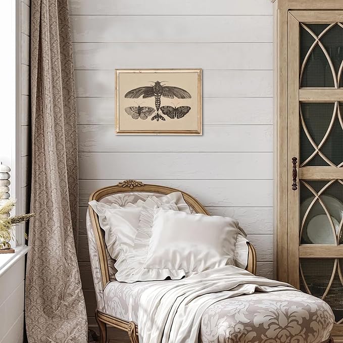 uniro Vintage Wall Art Prints, Moody Moth and Butterfly Wall Painting Canvas Prints, Antique Dark Cottage Room Decor Butterfly Sketch Oil Painting, Rustic Neutral Insect Aesthetic Wall Decor Vintage Art Pictures for Bedroom Gallery Bathroom Decor( 8" x...