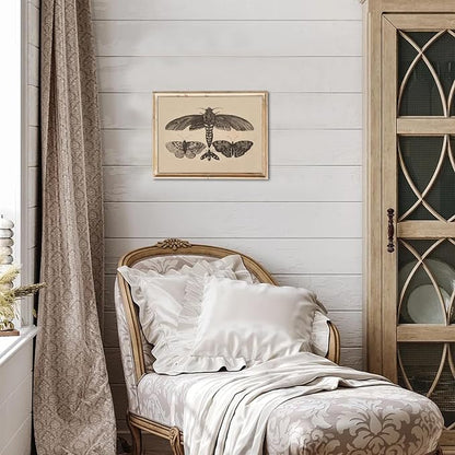 uniro Vintage Wall Art Prints, Moody Moth and Butterfly Wall Painting Canvas Prints, Antique Dark Cottage Room Decor Butterfly Sketch Oil Painting, Rustic Neutral Insect Aesthetic Wall Decor Vintage Art Pictures for Bedroom Gallery Bathroom Decor( 8" x...