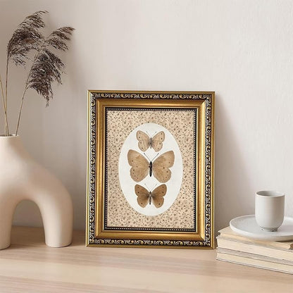 WZGZXU Vintage Gold Framed Wall Art Butterfly Pictures Wall Decor Moth Taxidermy Canvas Art Bathroom Shelf Paintings Print Antique Farmhouse Artwork For Living Room Bedroom