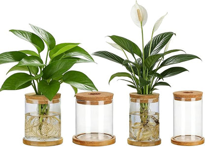 4 Set Glass Plant Propagation Station for Plants - 2 Large & 2 Small for Plant Cuttings Hydroponic Vases with Lid & Bamboo Stand Desktop Propagation Vases for Living Room, Bedroom, Office