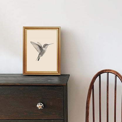 JLTULT Gold Framed Hummingbird Wall Art, Vintage Black White Sketch Wall Decor, Hummingbird Illustration Art Prints for Living Room Bedroom Office 8x10 Inches with Fade-Resistant Easy to Hang