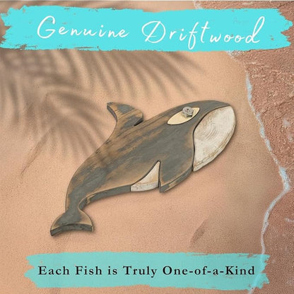 Driftwood Fish Nautical Wall Decor - Handmade Wooden Rustic Coastal Wall Art for Living Room, Bedroom, Office, Bathroom - Ocean Beach Decoration (Finn)
