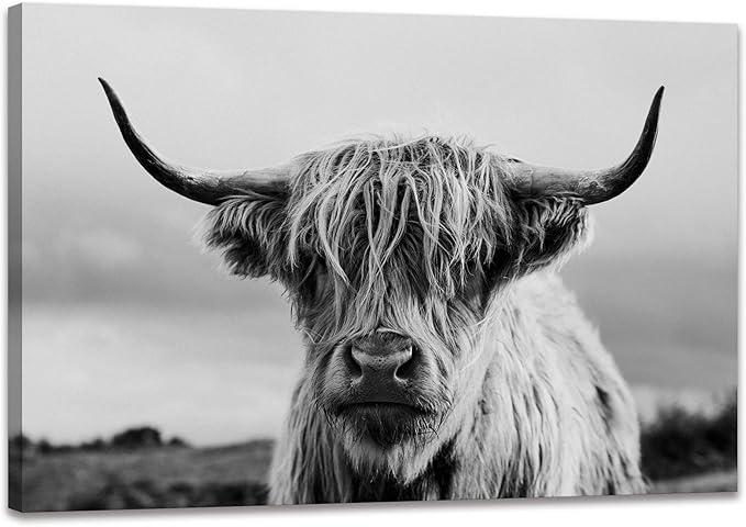 Highland Cow Wall Art Canvas Print Black and White Animal Canvas Picture Framed Art Wall Decor for Bedroom Bathroom (12x16 inch)