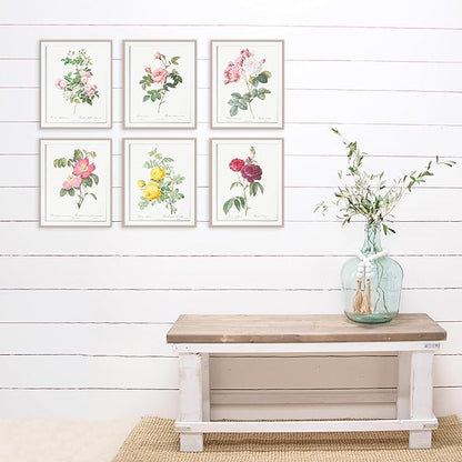 DREAM BIG PRINTABLES Vintage Flowers Wall Art Prints (Set of 6) - 11x14 Unframed