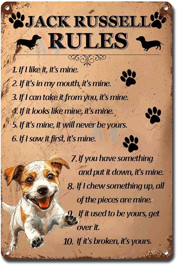 Metal Sign Tin Sign Vintage Wall Art Jack Russell Rules Metal Signs Vintage for Restaurant 6×8 Inches