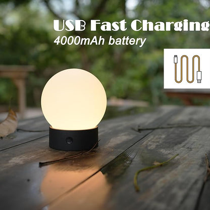 WEILAILUX Small Cute Cordless Table Lamp Rechargeable, Battery Operated Shower Lamp Waterproof, Touch Dimmable Globe Ambient Light for Outdoor/Bedside/Patio/Dining (White)