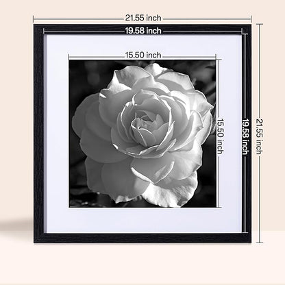 eletecpro 20x20 Picture Frames Set of 9 Classic Gallery Wall Frame Set, Displays 16x16 or 20x20 without Mat, Black Picture Frames Collage Wall Decor, Big Frames for Home Decor