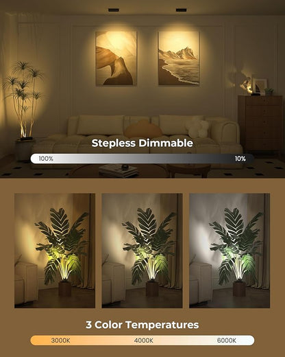 Spotlights Indoor with Daily Auto Timer, 5500mAh Rechargeable Plant Lights, Wireless Uplighting with Remote, 3CCT & Dimmable, Display Lights for Painting, Artwork, Plants, Accent Lighting