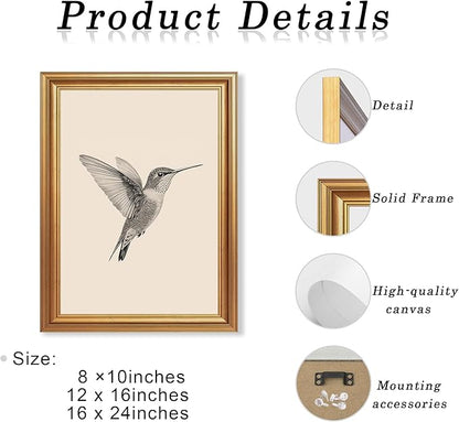 JLTULT Gold Framed Hummingbird Wall Art, Vintage Black White Sketch Wall Decor, Hummingbird Illustration Art Prints for Living Room Bedroom Office 12x16 Inches with Fade-Resistant Easy to Hang
