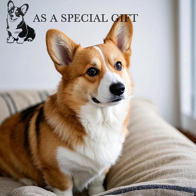 Corgi Metal Wall Décor,Gifts for Corgi Lovers,7x11"Lovely Black Decorations,Unique Iron Dog Statue,Dog Room Decor, Cartoon Animal 3d Wall Art for Bedroom,LivingRoom,Garden,Cafe,Outdoor Wall Hanging Decor