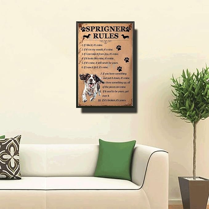 Metal Sign Tin Sign Vintage Wall Art Springer Rules Signs for Garden for Restaurant 12×16 Inches with Metal Frame