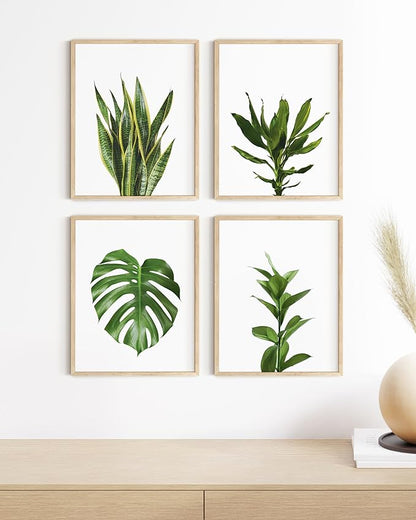 HAUS AND HUES Plant Photo Set of 4-8x10