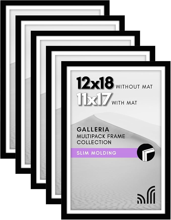 Americanflat 12x18 Poster Frame with Polished Plexiglass - Set of 5 - Use as 11x17 Frame with Mat - Galleria Collection - Picture Frames for Wall Display - Black