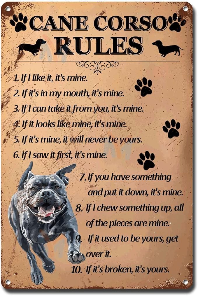 Metal Sign Tin Sign Vintage Wall Art Cano Corso Rules Garden Tin Signs for Restaurant 8×12 Inches