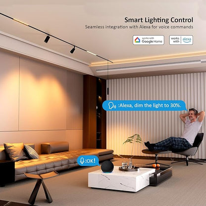 Magnetic Floodlight Track Head, 24V 15W LED Lamp for Track Light, Dimmable Linear Floodlight with APP & Remote Control, Adjustable 3000K-6000K Color Temperature, for Ceiling Lighting