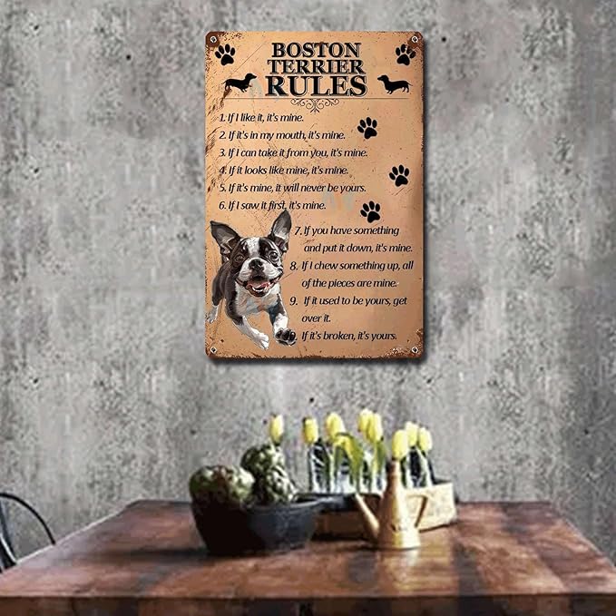 Metal Sign Tin Sign Vintage Wall Art Boston Terrier Rules Sign for Garden for Home Decor 6×8 Inches