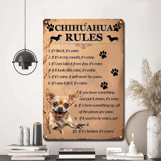 Metal Sign Tin Sign Vintage Wall Art Chihuahu Rules Metal Garden Signs for Pub 8×12 Inches