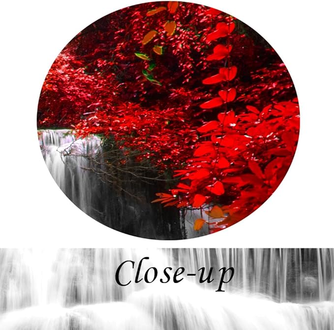 KREATIVE ARTS Black White and Red Canvas Wall Art 3 Pieces Red Woods Waterfall Canvas Print Landscape Paintings Framed Picture for Office and Home Décor Ready to Hang 16x24inchx3pcs