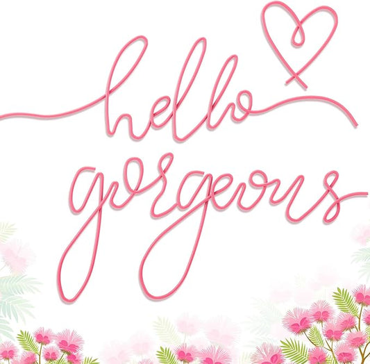 Hicarer Metal Hello Gorgeous Wall Art Minimalist Decor for Bedroom Bathroom Living Room Dressing Room Salon Office Home Decorations Easy to Install Wall Decor(Pink,Classic Style)