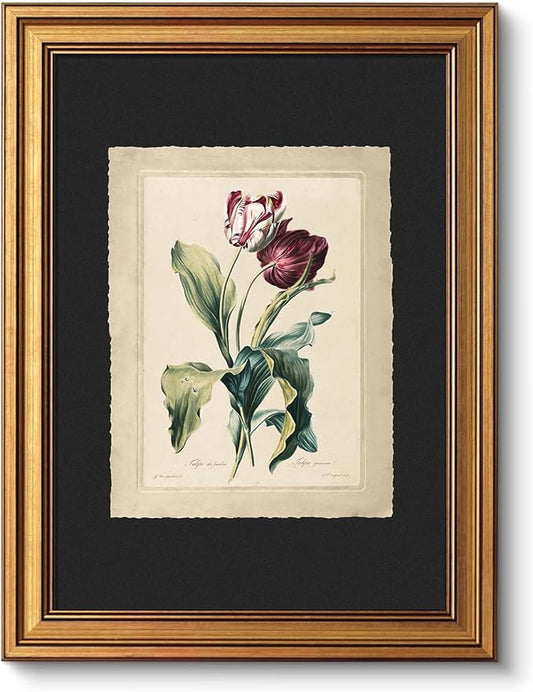 VIYYIEA Vintage Gold Framed Wall Art, Aesthetic Botanical Red Tulip Canvas Prints Paintings, Farmhouse Still Life Decor Artwork For Kitchen Bathroom Bedroom, 12x16inch