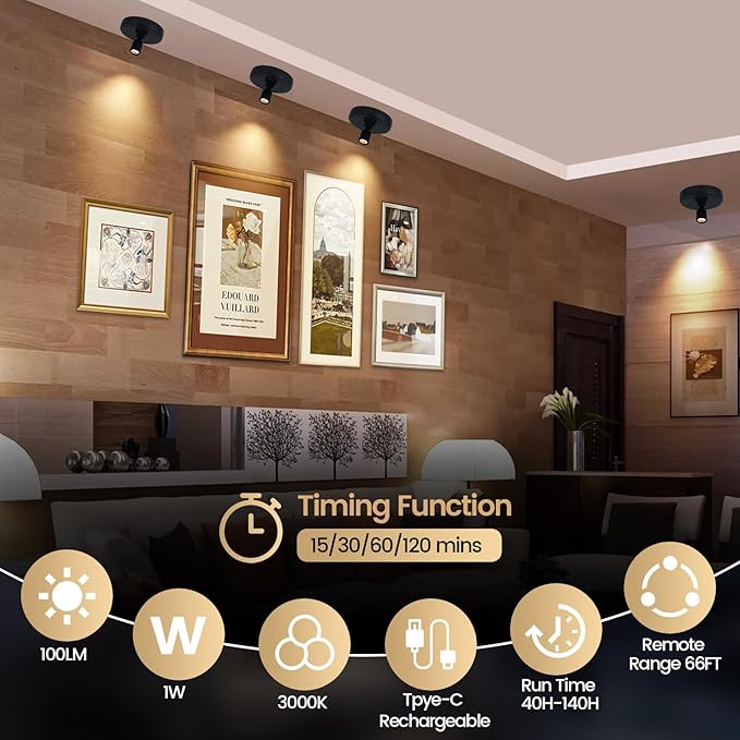 HAMVIDNE LED Spotlights, Rechargeable Battery Picture Lights, Uplighting Indoor, Spot Light with Remote, Plant & Wall Art Display Dartboard Closet Spotlight-Black