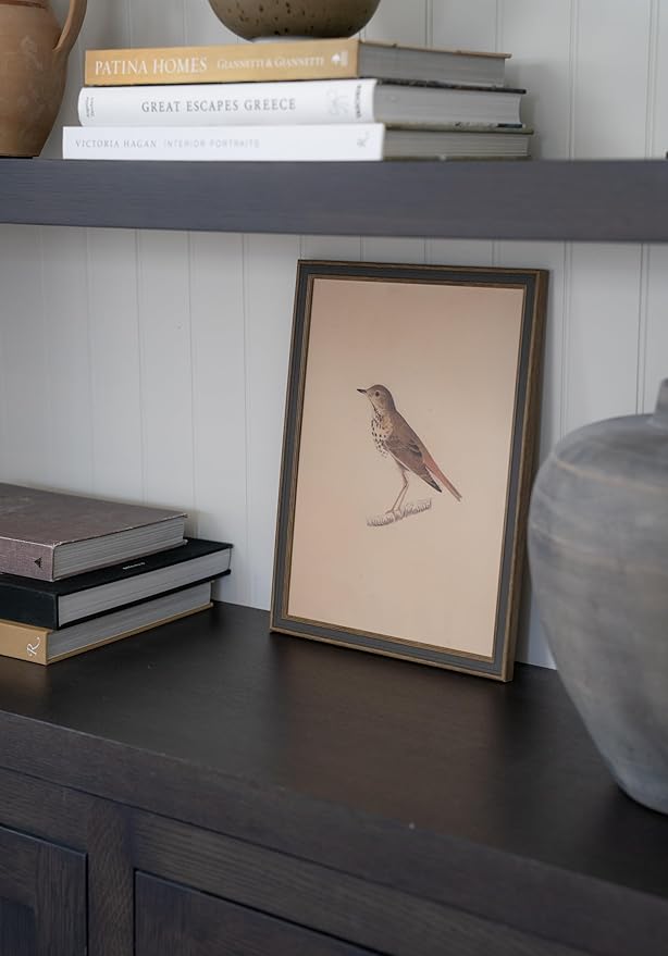 Petal Lane Bird Wall Art - 11x15 Framed Antique Decor - Make Your Own Gallery Wall Frame Set - Dark Academia Wall Decor - Canvas Bird Wall Decor