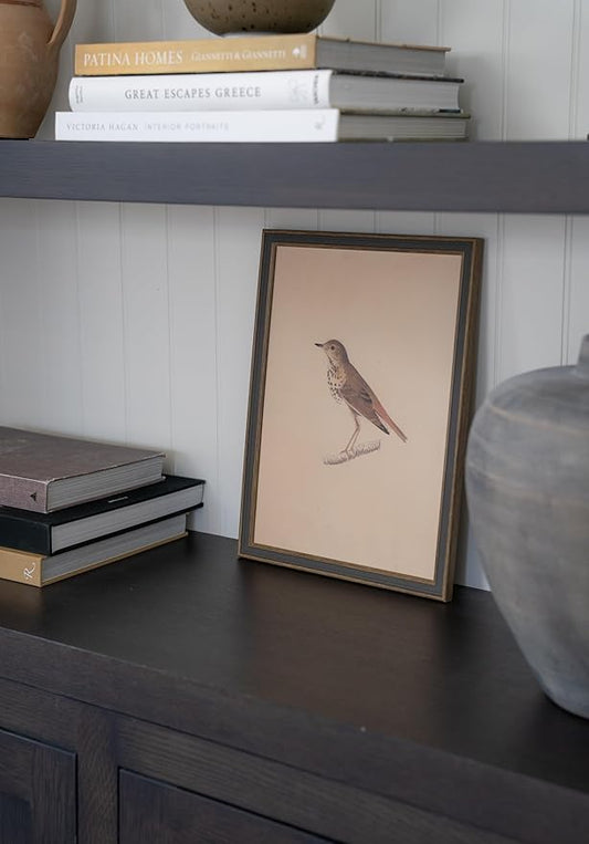 Petal Lane Bird Wall Art - 11x15 Framed Antique Decor - Make Your Own Gallery Wall Frame Set - Dark Academia Wall Decor - Canvas Bird Wall Decor