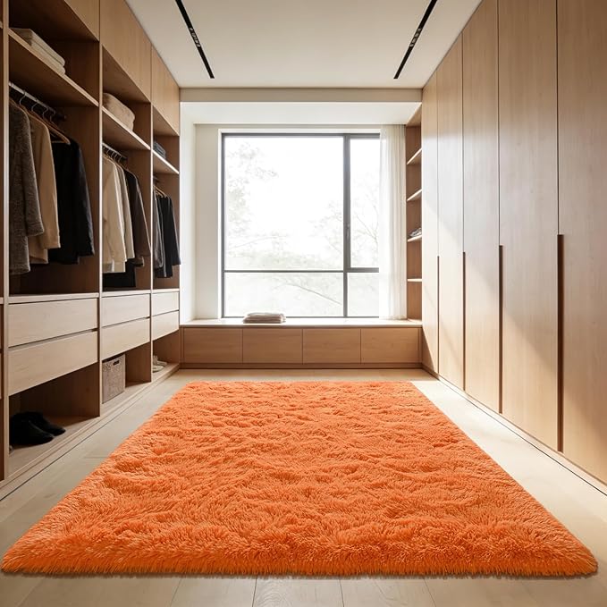 Andecor Shag Area Rug for Living Room, 4x6 Feet Orange Soft Fluffy Indoor Plush Throw Rugs for Bedroom Girls Kids Room Nursery Dorm Home Decor Carpet