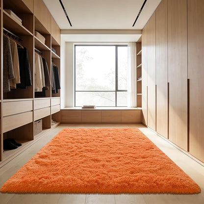 Andecor Shag Area Rug for Living Room, 4x6 Feet Orange Soft Fluffy Indoor Plush Throw Rugs for Bedroom Girls Kids Room Nursery Dorm Home Decor Carpet