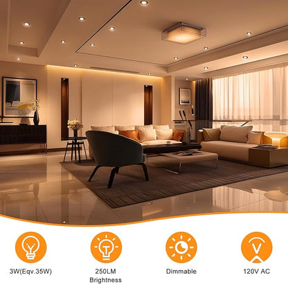 2 Inch LED Recessed Lighting, Dimmable Downlight 3W(35W Halogen Equivalent), CRI80, 2700K Ultra Warm White Ceiling Light with LED Driver(10 Pack)