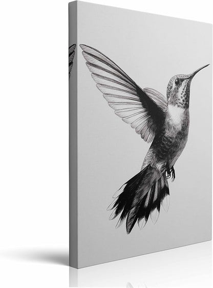 Black and White Hummingbird Canvas Wall Art Framed Detailed Pencil Drawing Print High Contrast Minimalist Bird Wall Decor Artwork Poster for Modern Home Office Decor 12x16 Inches