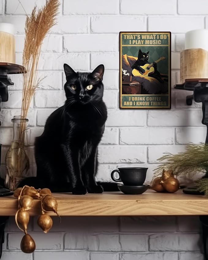ALKB Guitar Art Black Cat Sign - Thats What I Do I Play Guitar and I Know Things 8x12 Inch - Guitar Player Gift Ideas