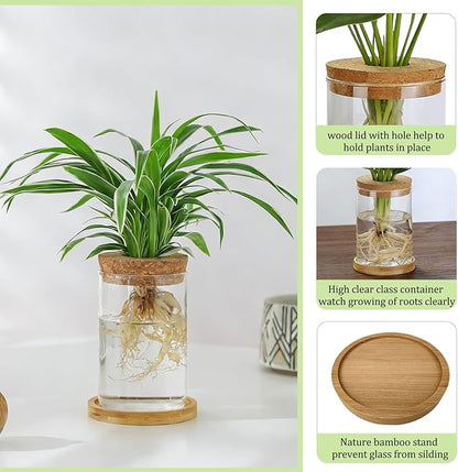 4 Set Glass Plant Propagation Station for Plants - 2 Large & 2 Small for Plant Cuttings Hydroponic Vases with Lid & Bamboo Stand Desktop Propagation Vases for Living Room, Bedroom, Office