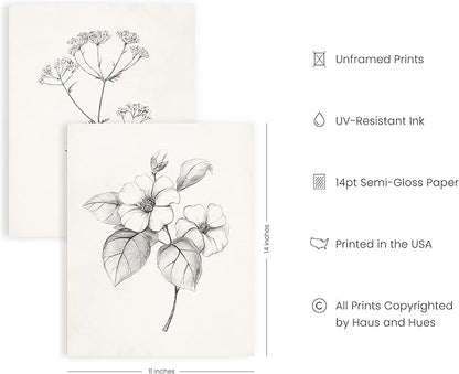 HAUS AND HUES Grey Floral Wall Art - Set of 4 Plant Posters for Wall Vintage, Botanical Prints, Black and White Flower Pictures for Room Aesthetic, Farmhouse Bathroom, Rustic Art (11x14, UNFRAMED)