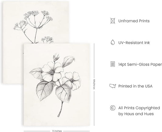 HAUS AND HUES Grey Floral Wall Art - Set of 4 Plant Posters for Wall Vintage, Botanical Prints, Black and White Flower Pictures for Room Aesthetic, Farmhouse Bathroom, Rustic Art (11x14, UNFRAMED)