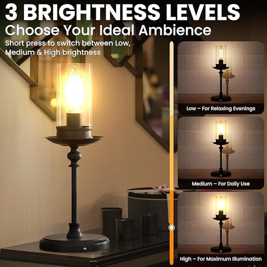 Anyboy Retro Cordless Touch Dimmable Table Lamp, 5200mAh Features 3 Color Temperature Switching and USB Charging, Great for Living Room, Bedroom, Study Retro Home Decor, Reading and Working