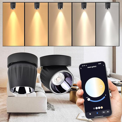 LED Ceiling Spotlight Indoor Dimmable - Tuya Smart Life 360° Adjustable 12W COB Ceiling Downlight Aluminum Hard Wired For Bedrooms Rooms Corridors Painting Background Walls (Black, B ( 4.02"*3.62"))