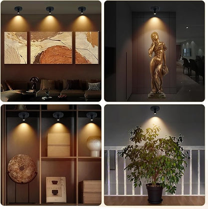 Cordless Spotlight Battery Powered, Indoor Plant Spot Light, Rechargeable Picture Lights with Remote, LED Accent Lighting, Dimmable Display Uplight for Tree Dartboard Decor Painting Art Photo