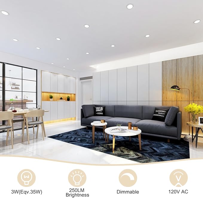 2 Inch LED Recessed Lighting, Dimmable Downlight 3W(35W Halogen Equivalent), CRI80, 5000K Daylight White Ceiling Light with LED Driver(4 Pack)