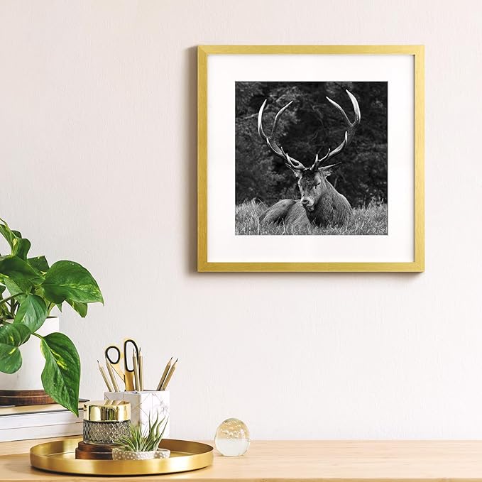 Yaetm 16x16 Gold Picture Frame Matted to 12x12, Set of 3, Thin Square Frame for Gallery Wall Display, Hanging Hardware Included (3 Pack, Gold)