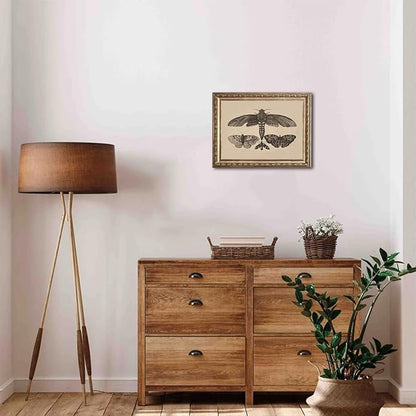 uniro Vintage Wall Art Prints, Moody Moth and Butterfly Wall Painting Canvas Prints, Antique Dark Cottage Room Decor Butterfly Sketch Oil Painting, Rustic Neutral Insect Aesthetic Wall Decor Vintage Art Pictures for Bedroom Gallery Bathroom Decor( 8" x...
