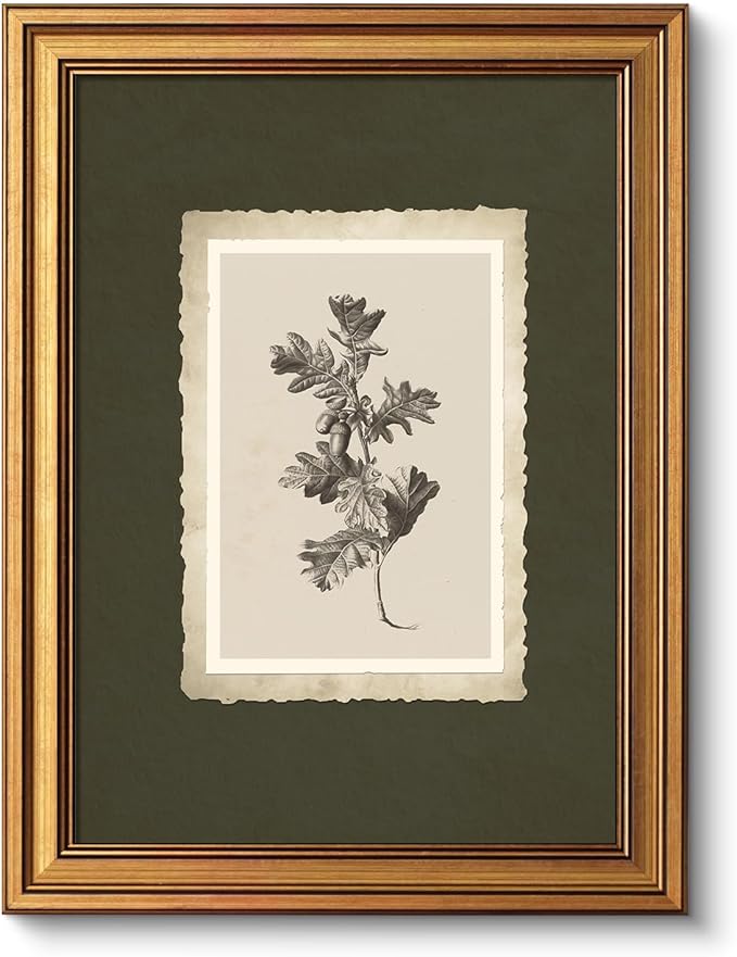 VIYYIEA Vintage Gold Framed Wall Art, Oak Leaf Wall Decor For Kitchen Bathroom Bedroom, Aesthetic Botanical Acorn Canvas Prints Paintings, Antique Botanical Drawing Neutral Art, 12x16inch