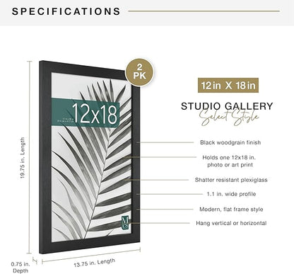 MCS Studio Gallery 12x18 Picture Frame Black Woodgrain Engineered Wood, Rectangle Photo Frame for Photos, Posters & Art Prints (2-Pack)