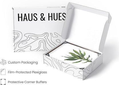 HAUS AND HUES Plant Wall Art - Set of 4 Plant Pictures and Green Wall Art Collection, Botanical Prints, Sage Green Leaves Paintings For Wall, Minimalist Poster (Walnut Frame, 11x14)