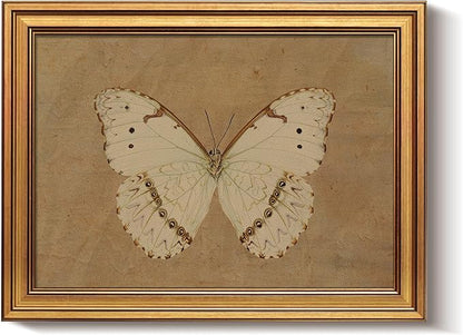 Bzstyleart Vintage Wall Art Decor for Living Room, Gold Framed Canvas Butterfly Wall Art, Vintage Butterfly Picture Prints, Gold Framed Artwork, 12 x 16 Inch