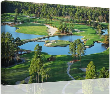 chenchenArt King's North Golf Course Wall Art for Living Room Bedroom Bathroom Home Decorations Myrtle Beach National Club Picture Canvas Prints Modern Artwork Framed Ready to Hang(18''H x 24''W)