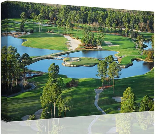 chenchenArt King's North Golf Course Wall Art for Living Room Bedroom Bathroom Home Decorations Myrtle Beach National Club Picture Canvas Prints Modern Artwork Framed Ready to Hang(18''H x 24''W)