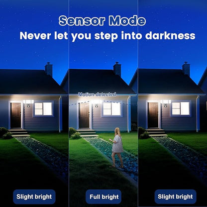 EMANER Smart Security Light Motion Sensor, Compatible with Alexa/Google Home, 2800LM Warm White to Daylight White Brightness Adjust, App Controlled WiFi Flood Light (Black, 2-Pack)